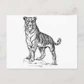 Tiger Postkarte (Vorderseite)