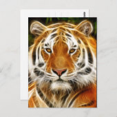 Tiger-Postkarte Postkarte (Vorne/Hinten)