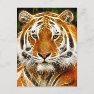 Tiger-Postkarte Postkarte
