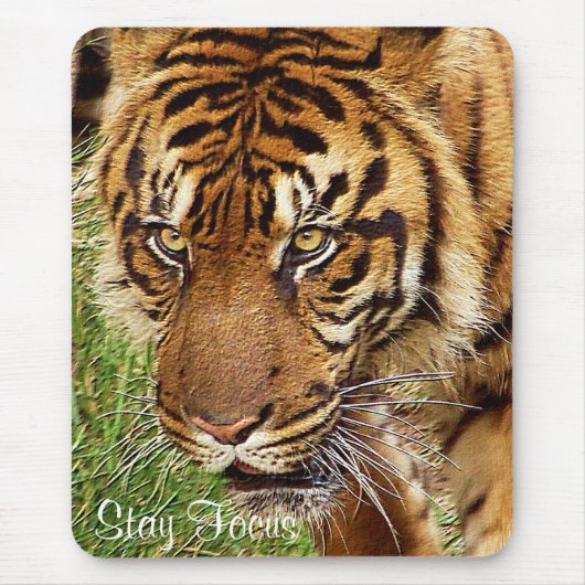 Tiger Power_ Mousepad (Vorne)