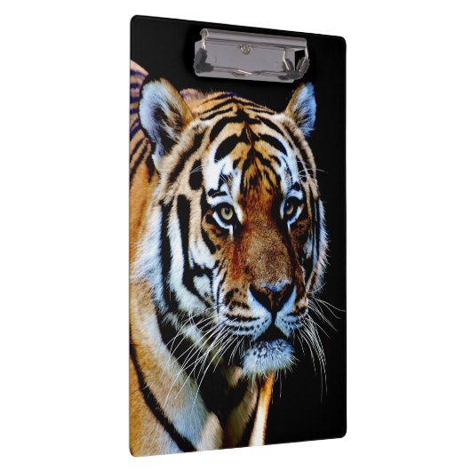 Tiger Predator Klemmbrett (Rechts)