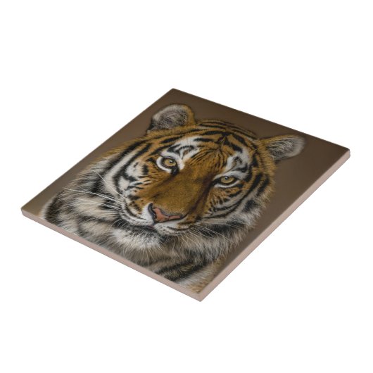 Tiger-Profil Fliese (Seite)