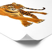 Tiger Prowl Poster (Ecke)
