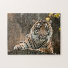 Tiger Puzzle