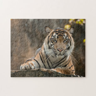 Tiger Puzzle