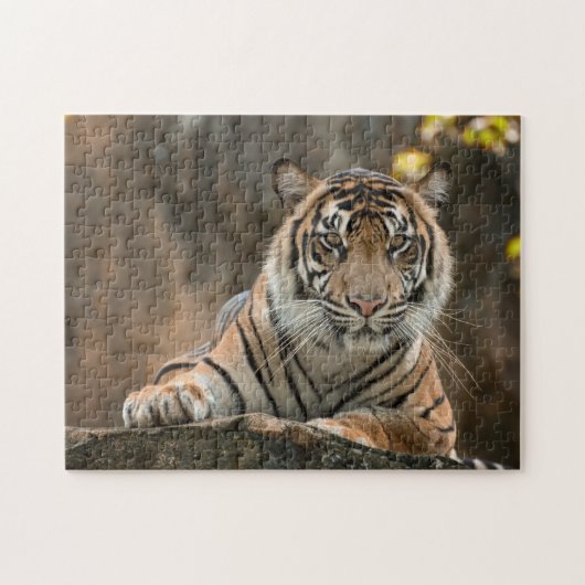 Tiger Puzzle (Horizontal)