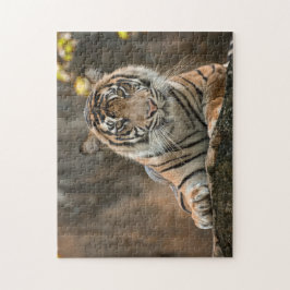 Tiger Puzzle
