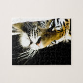 Tiger Puzzle (Horizontal)