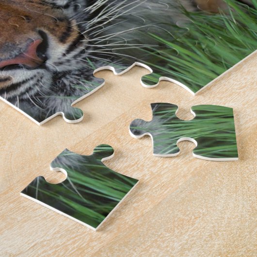 Tiger Puzzle (Seite)