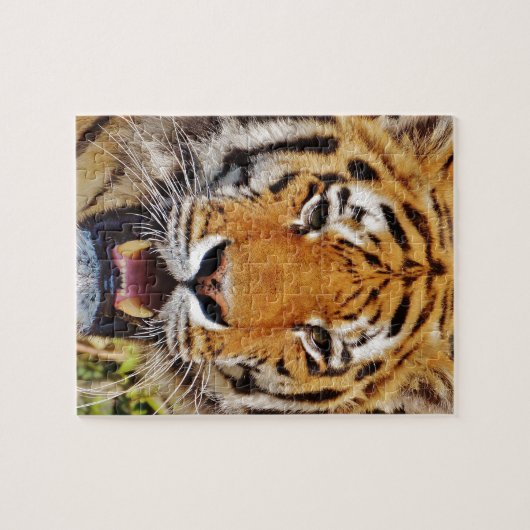 Tiger Puzzle (Horizontal)