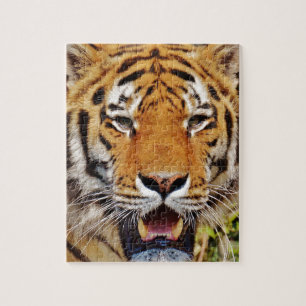 Tiger Puzzle