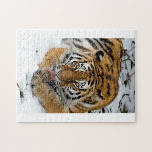 Tiger Puzzle (Horizontal)