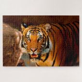Tiger Puzzle (Horizontal)