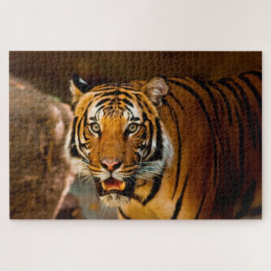Tiger Puzzle (Horizontal)
