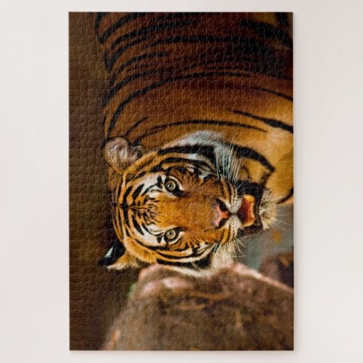 Tiger Puzzle (Vertikal)