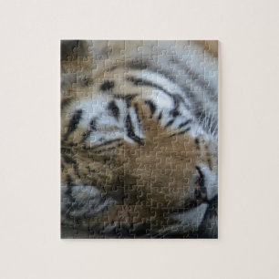 Tiger Puzzle