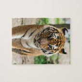 Tiger Puzzle (Horizontal)