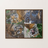 Tiger Puzzle (Horizontal)
