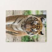Tiger Puzzle (Horizontal)