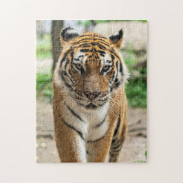 Tiger Puzzle