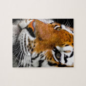 Tiger Puzzle (Horizontal)