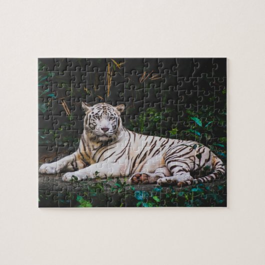 Tiger-Puzzle Puzzle (Horizontal)