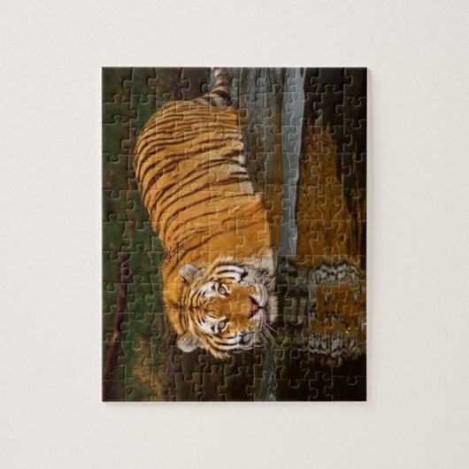 Tiger-Puzzlespiel Puzzle (Vertikal)