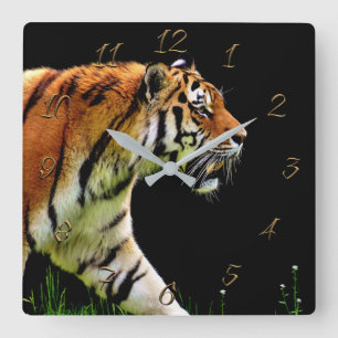Tiger Quadratische Wanduhr