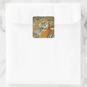 Tiger Quadratischer Aufkleber (Tasche)