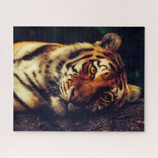 Tiger-Rätsel Puzzle (Horizontal)