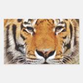 Tiger Rechteckiger Aufkleber (Vorderseite)