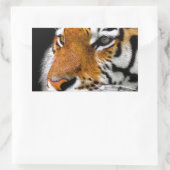 Tiger Rechteckiger Aufkleber (Tasche)