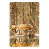 Tiger Reflection Clipboard Mini Klemmbrett (Rückseite)