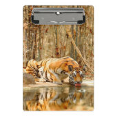 Tiger Reflection Clipboard Mini Klemmbrett (Vorderseite)