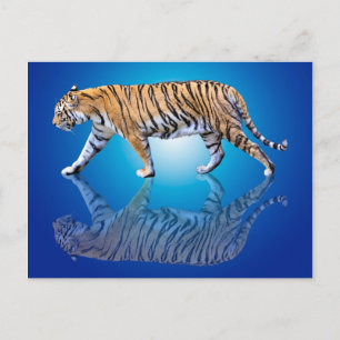 TIGER REFLEKTIERT POSTKARTE