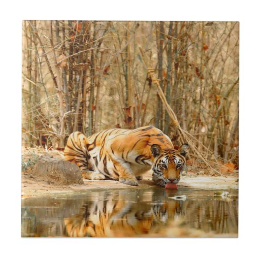Tiger Reflektion Fliese (Vorderseite)
