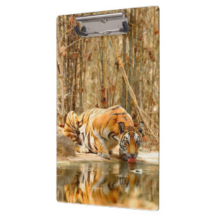 Tiger Reflektion Klemmbrett