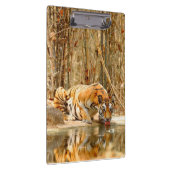 Tiger Reflektion Klemmbrett (Rechts)