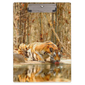 Tiger Reflektion Klemmbrett (Vorderseite)