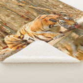 Tiger Reflektion Sherpadecke (3/4)
