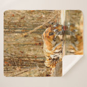 Tiger Reflektion Sherpadecke (Vorderseite (Horizontal))