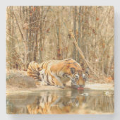 Tiger Reflektion Steinuntersetzer (Vorderseite)