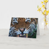Tiger-Reißzähne nahes HOHES Karte (Gelbe Blume)