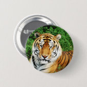 Tiger Relaxing Button (Vorne & Hinten)