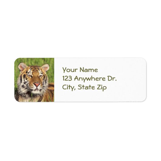 Tiger Return Labels (Vorne)