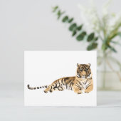 Tiger-Riegel Postkarte (Stehend Vorderseite)