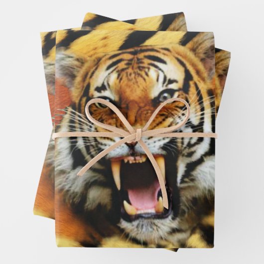 Tiger-Roar Geschenkpapier Set (Beispiel)