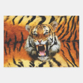 Tiger-Roar Geschenkpapier Set (Vorderseite)