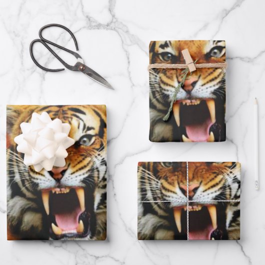 Tiger-Roar Geschenkpapier Set (Vorderseite)