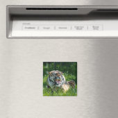 Tiger-Roar Magnet (In Situ (Geschirrspüler))